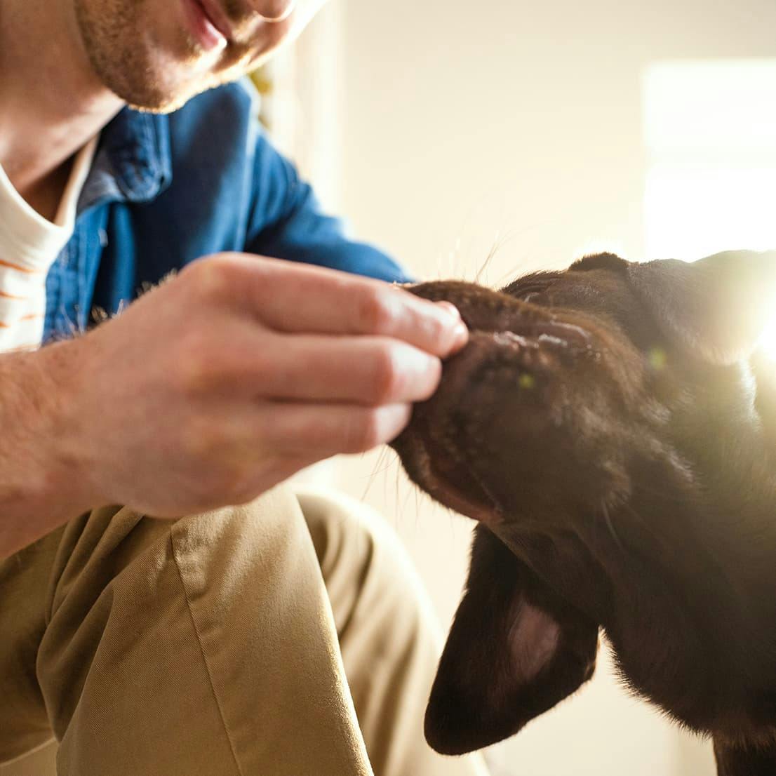 Determining the Right Amount of Vital Essentials Raw Food for Your Pet: A Guide to Proper Feeding