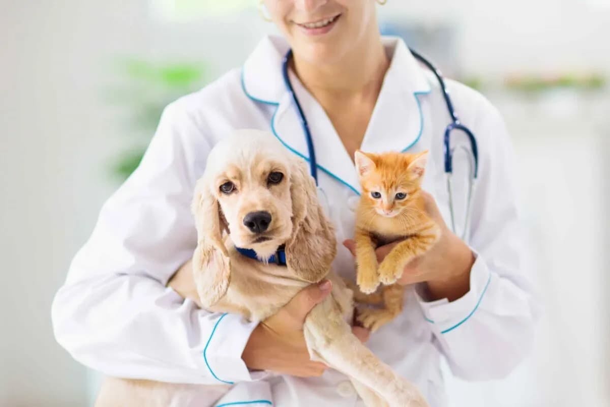 Cutting Costs: Proven Strategies for Minimizing Vet Bills and Keeping Your Pet Healthy