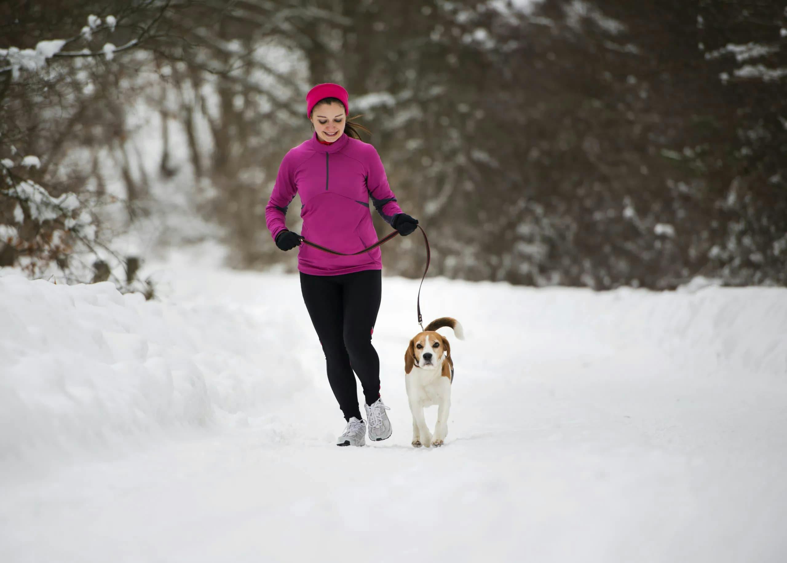 New Year, New Habits: Building a Healthier Lifestyle for You and Your Pet in 2023