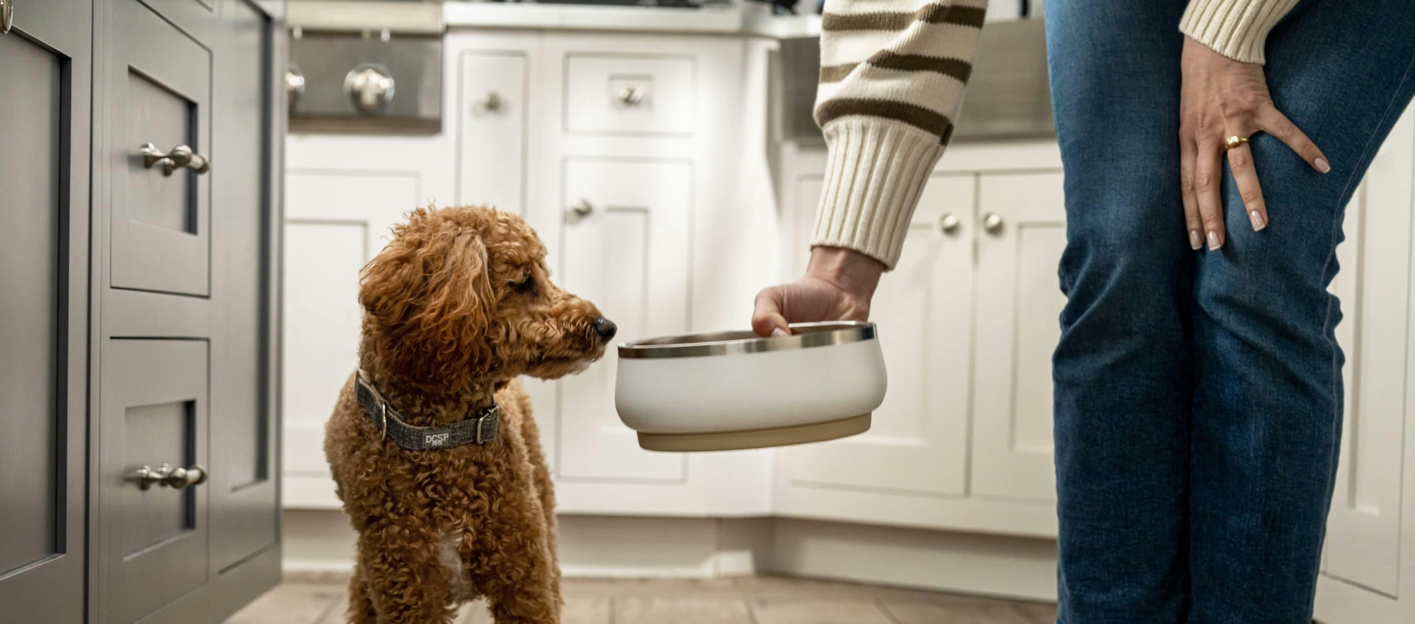 The Best Dog Food Toppers for Optimal Health